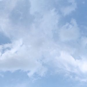 Meet your Posher, Zoë